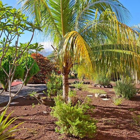 Hotel Jardin Garden De Granada Nicaragua 외부 사진