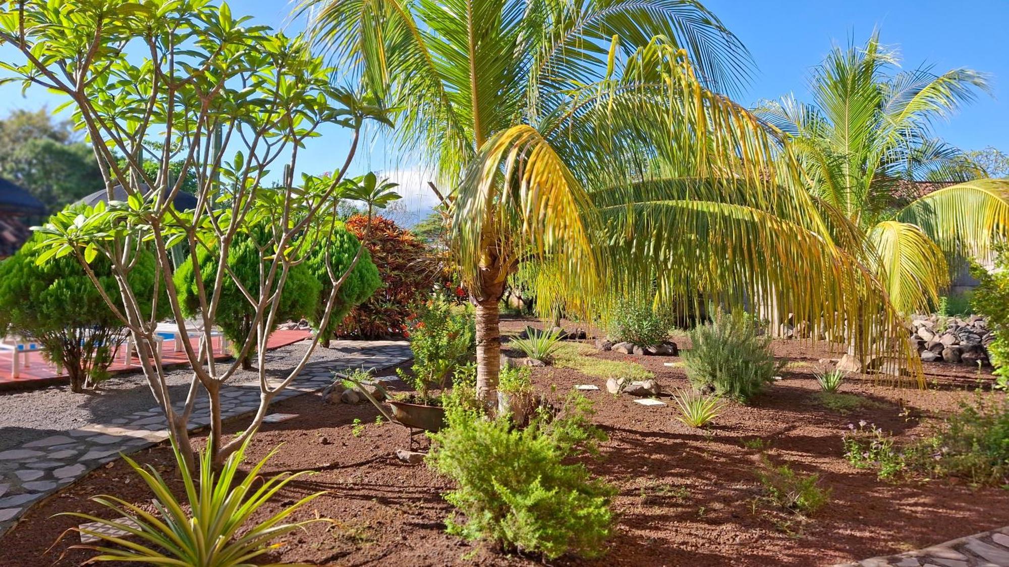 Hotel Jardin Garden De Granada Nicaragua 외부 사진