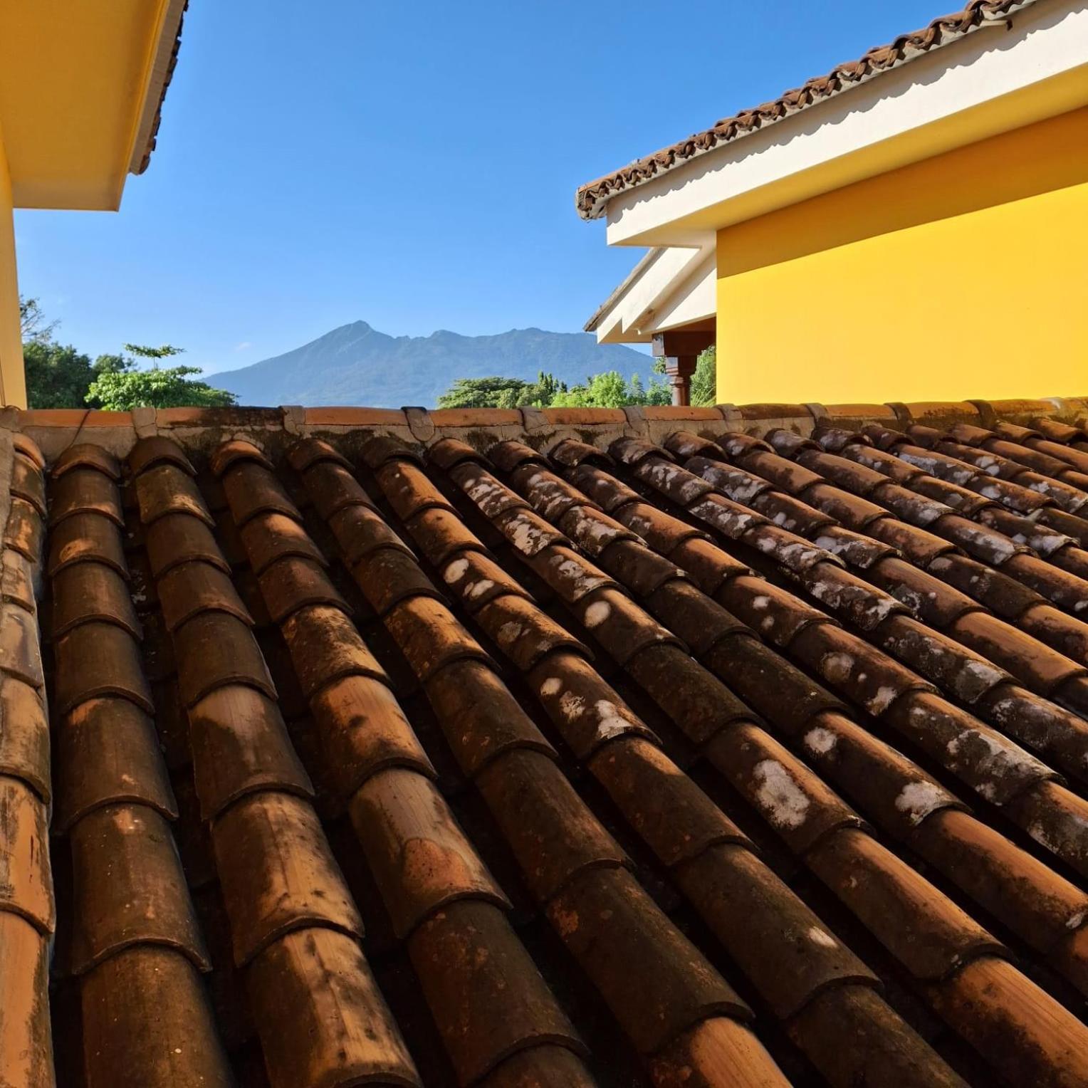 Hotel Jardin Garden De Granada Nicaragua 외부 사진
