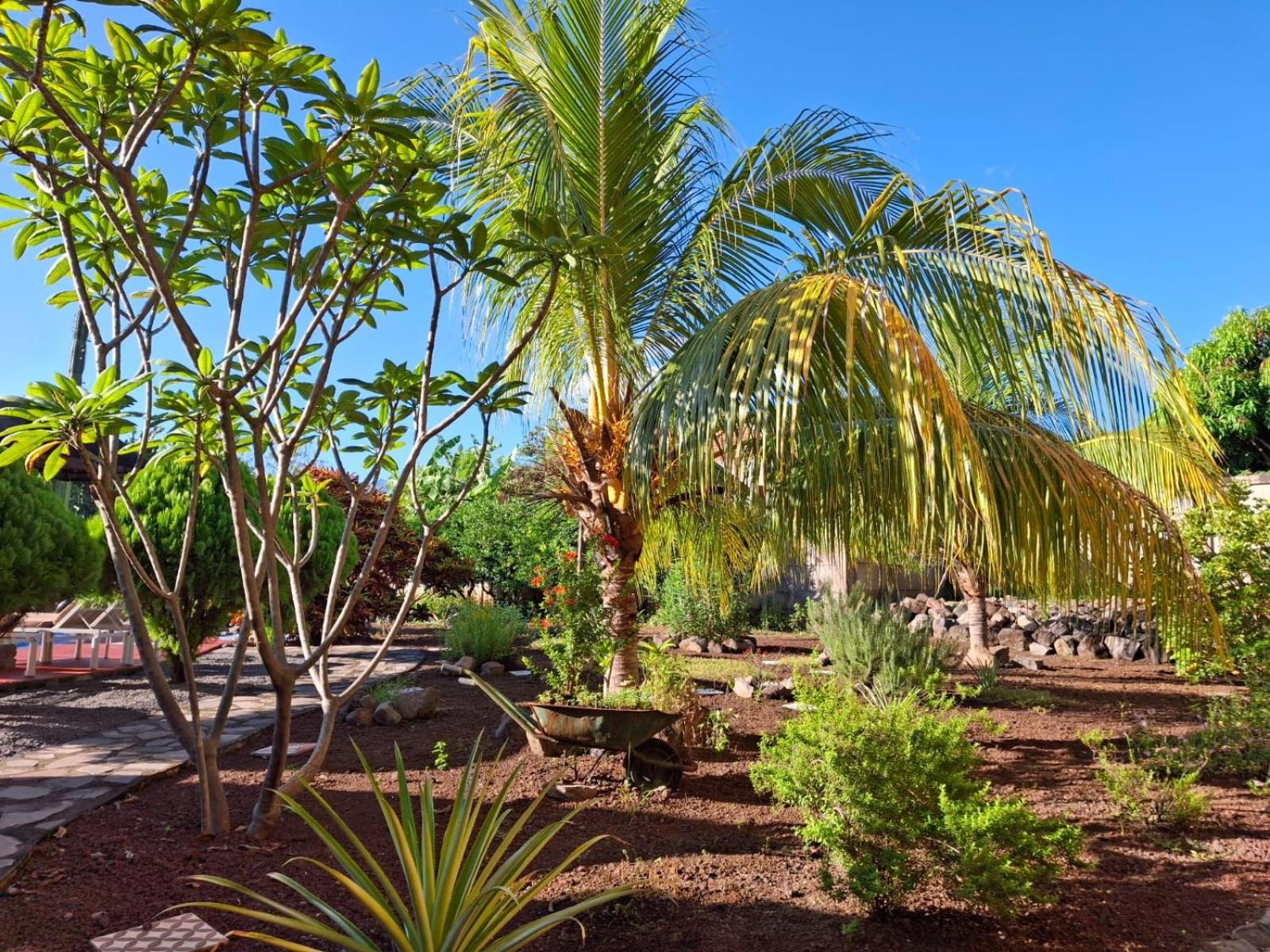 Hotel Jardin Garden De Granada Nicaragua 외부 사진