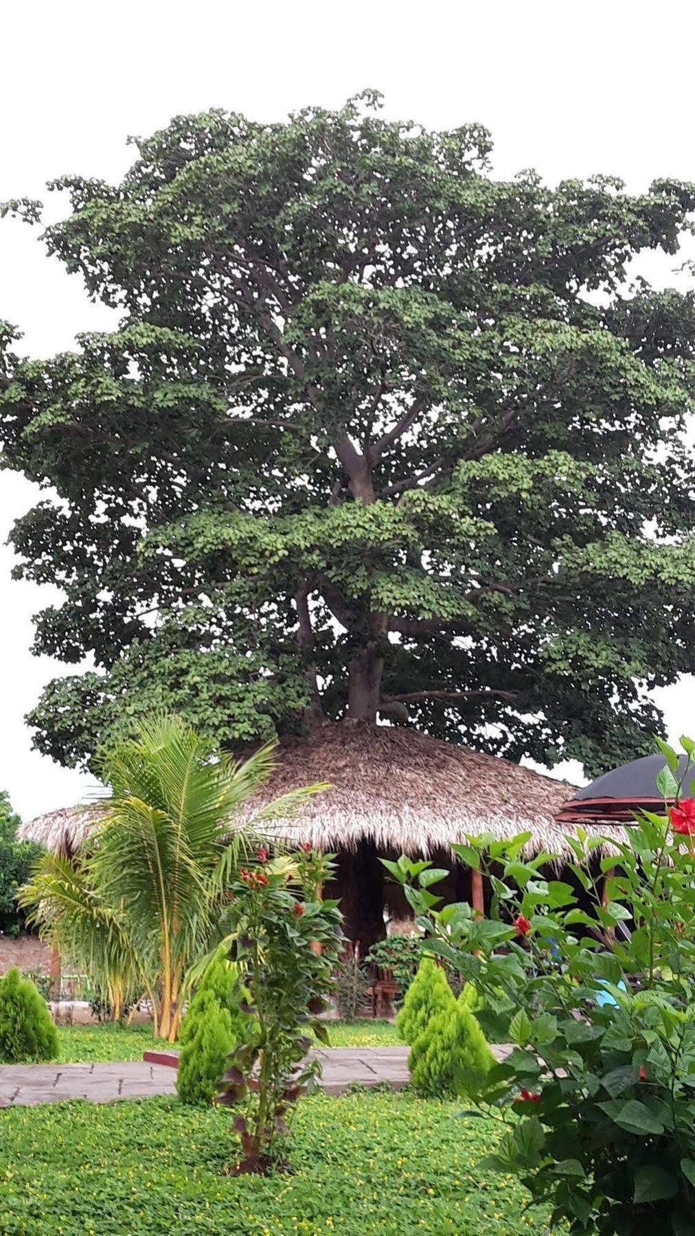 Hotel Jardin Garden De Granada Nicaragua 외부 사진