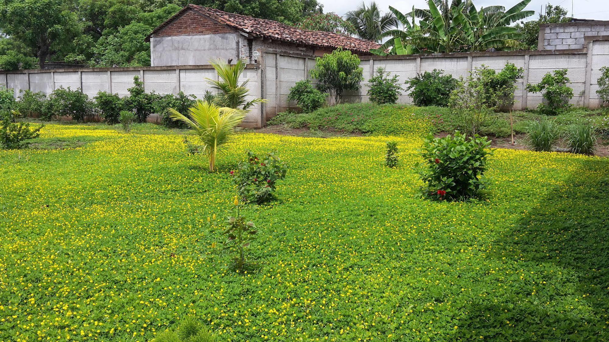 Hotel Jardin Garden De Granada Nicaragua 외부 사진